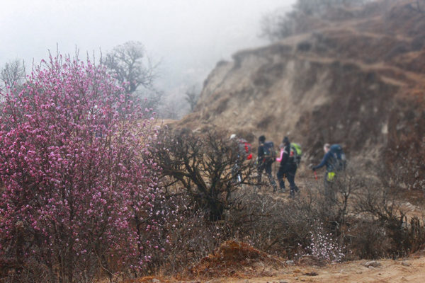 Sandakphu - A lesser known trek