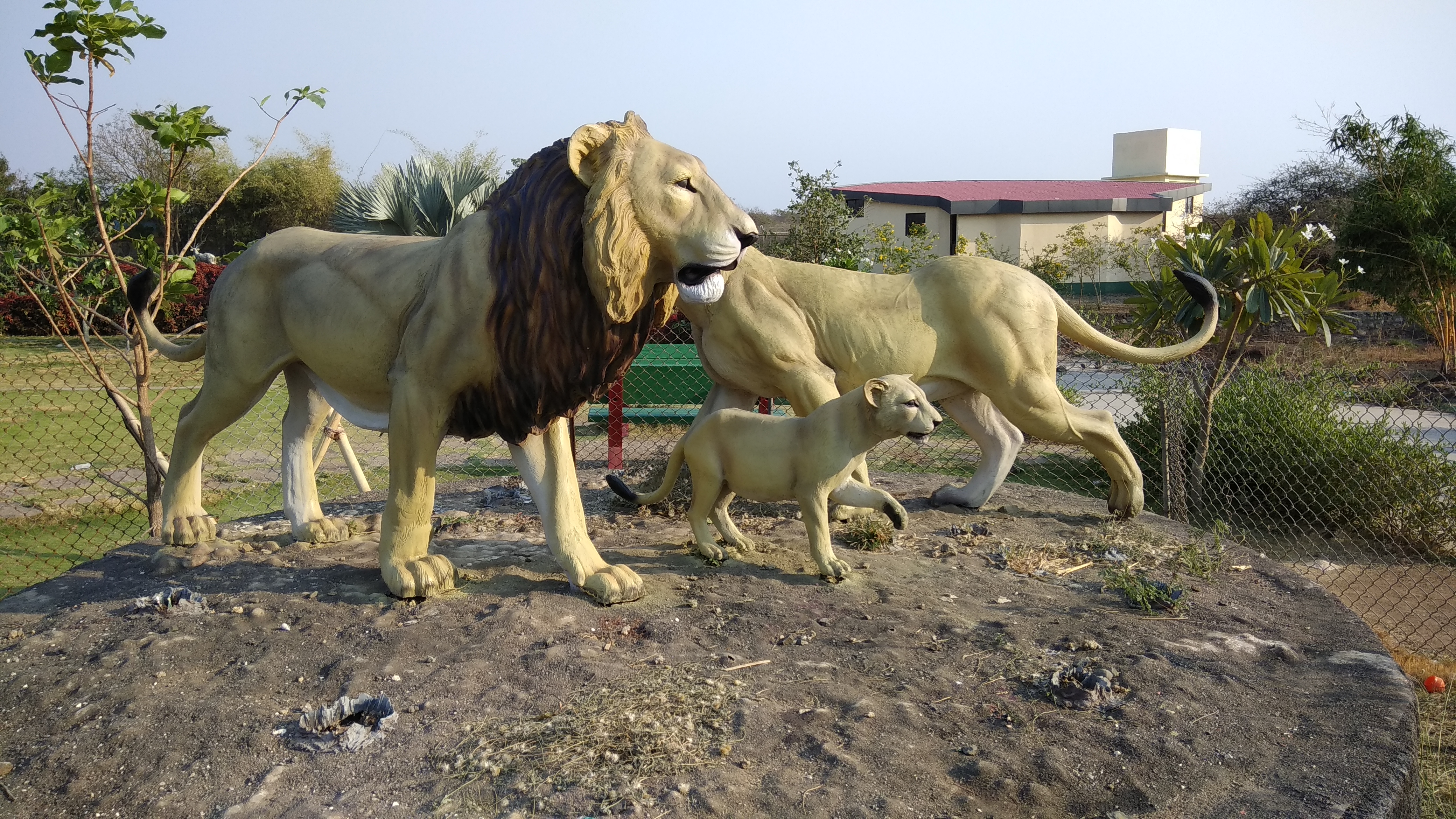 10 Best Things to Do in Gir National Park