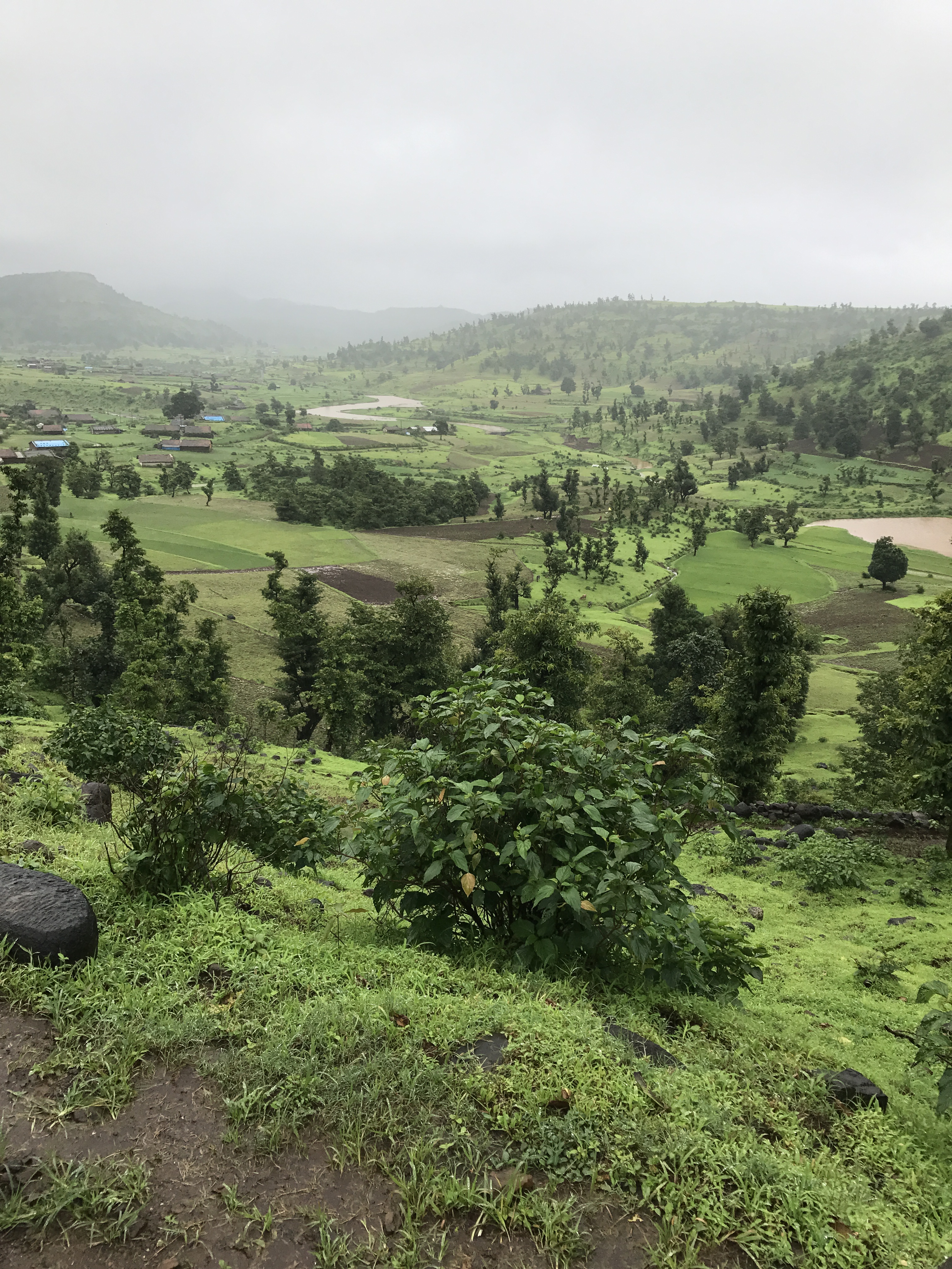 Dudhani Lake and Don Hills A Cradle of Nature