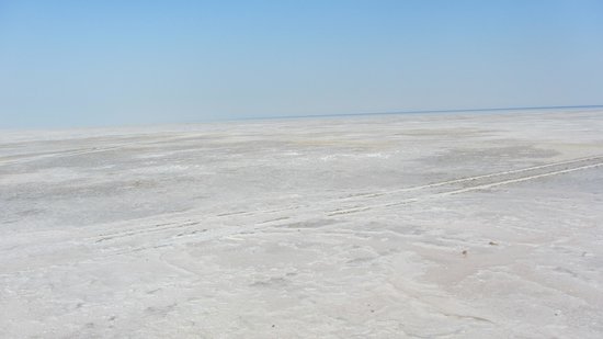 A Walk Through Dholavira : White Colour of the Rann